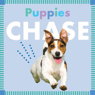 Carte Puppies Chase Rebecca Glaser