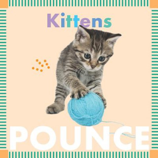 Buch Kittens Pounce Rebecca Glaser