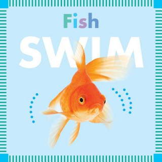 Libro Fish Swim Rebecca Glaser