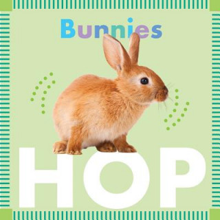 Kniha Bunnies Hop Rebecca Glaser