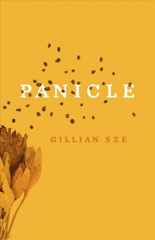 Knjiga PANICLE 