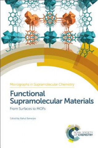 Kniha Functional Supramolecular Materials Deanna D'Alessandro