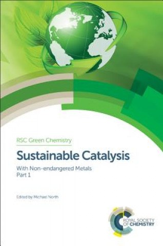 Buch SUSTAINABLE CATALYSIS Jose Castro