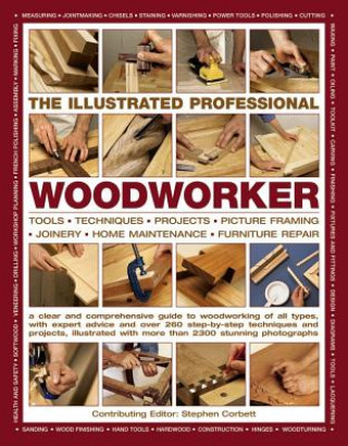 Kniha Illustrated Professional Woodworker 