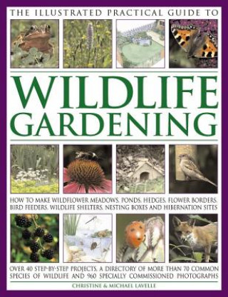Carte Illustrated Practical Guide to Wildlife Gardening Christine Lavelle