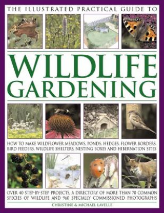 Kniha Illustrated Practical Guide to Wildlife Gardening Christine Lavelle