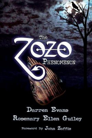 Kniha Zozo Phenomenon Darren Evans