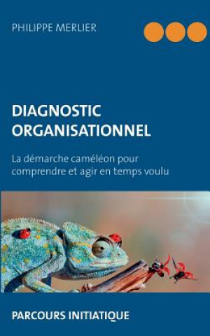 Carte Diagnostic organisationnel Philippe Merlier