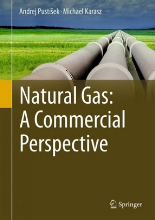 Книга Natural Gas: A Commercial Perspective Andrej PustiSek