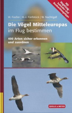 Kniha Die Vögel Mitteleuropas im Flug bestimmen Wolfgang Fiedler