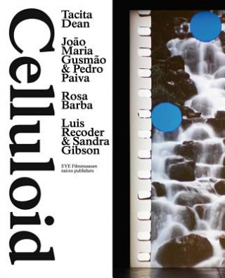 Carte Celluloid: Tacita Dean, Jo?o Maria Gusm?o & Pedro Paiva, Rosa Barba, Luis Recoder & Sandra Gibson 