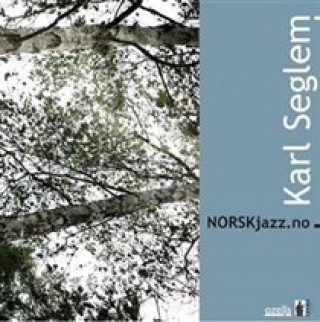 Audio  NORSKjazz.no Karl Seglem