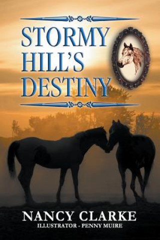 Kniha Stormy Hill's Destiny Nancy Clarke
