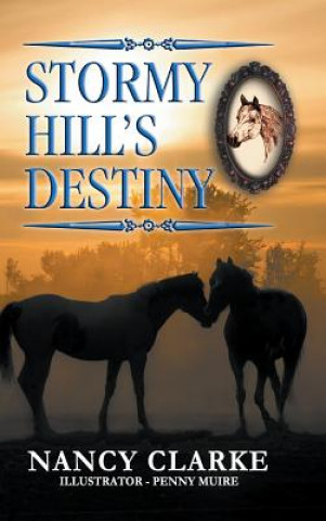 Kniha Stormy Hill's Destiny Nancy Clarke