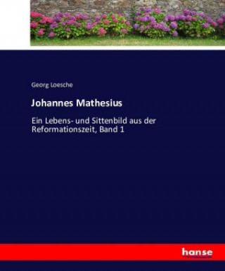 Книга Johannes Mathesius Georg Loesche