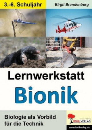 Kniha Lernwerkstatt Bionik Birgit Brandenburg