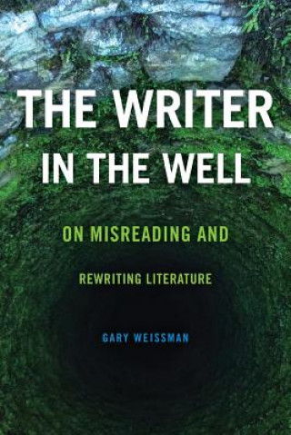 Buch Writer in the Well Gary Weissman