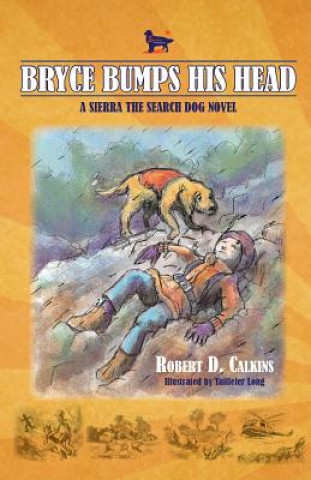 Könyv Bryce Bumps His Head Robert D Calkins