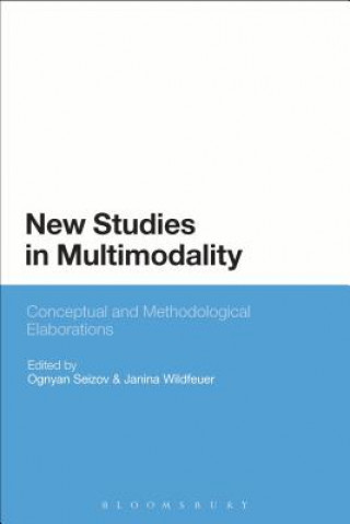 Könyv New Studies in Multimodality Ognyan Seizov
