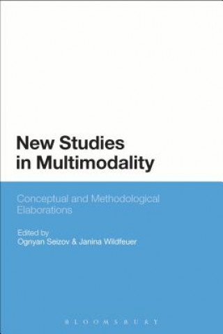 Knjiga New Studies in Multimodality Ognyan Seizov