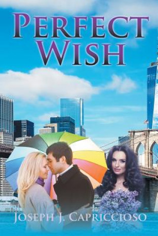 Book Perfect Wish JOSEPH CAPRICCIOSO