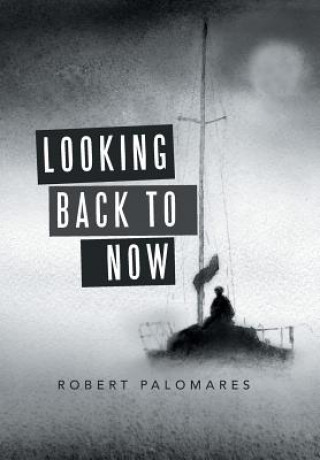 Buch Looking Back to Now ROBERT PALOMARES