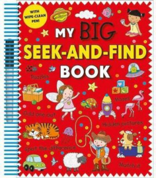 Kniha My Big Seek and Find Book Roger Priddy