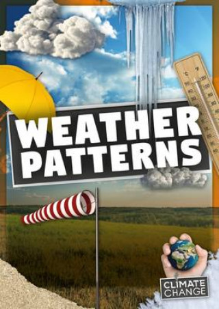 Kniha Weather Patterns Harriet Brundle