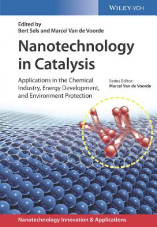 Carte Nanotechnology in Catalysis - Applications in the Chemical Industry, Energy Development, and Environment Bert Sels