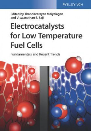 Kniha Electrocatalysts for Low Temperature Fuel Cells - Fundamentals and Recent Trends Thandavarayan Maiyalagan