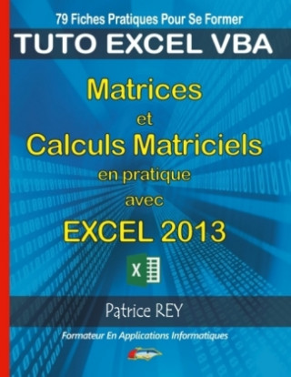 Kniha Matrices et calculs matriciels avec excel 2013 Patrice Rey