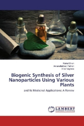 Książka Biogenic Synthesis of Silver Nanoparticles Using Various Plants RAHUL SHAH