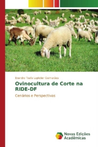 Könyv Ovinocultura de Corte na RIDE-DF Evandro Tsufa Lepletier Guimarães