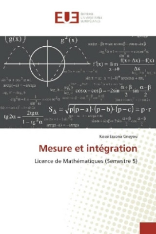 Boek Mesure et intégration Kossi Essona Gneyou