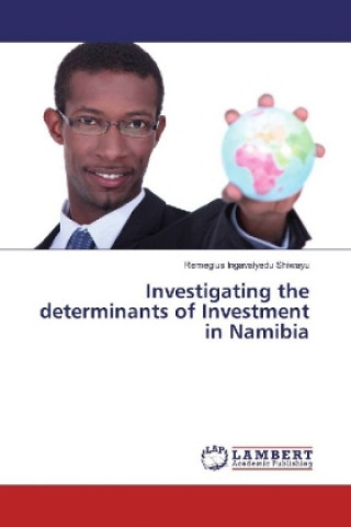 Kniha Investigating the determinants of Investment in Namibia Remegius Ingavalyedu Shiwayu