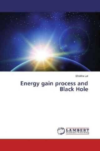 Kniha Energy gain process and Black Hole Shobha Lal