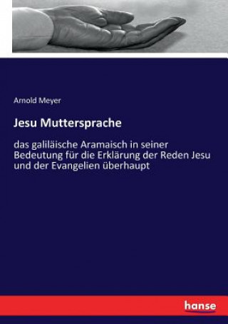 Kniha Jesu Muttersprache Arnold Meyer