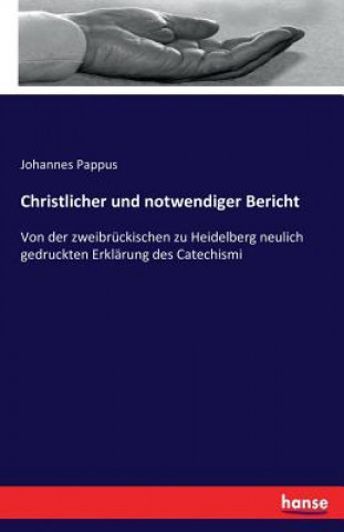 Kniha Christlicher und notwendiger Bericht Johannes Pappus