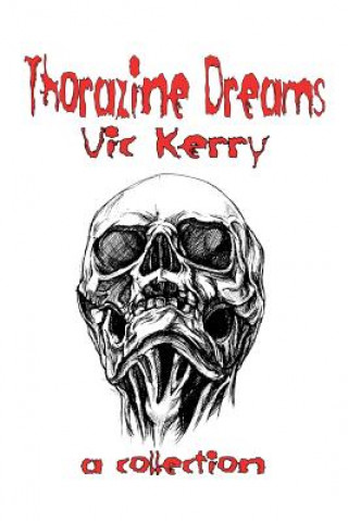Boek Thorazine Dreams Vic Kerry