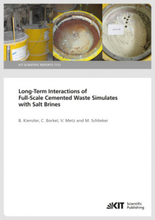 Buch Long-Term Interactions of Full-Scale Cemented Waste Simulates with Salt Brines Bernhard Kienzler