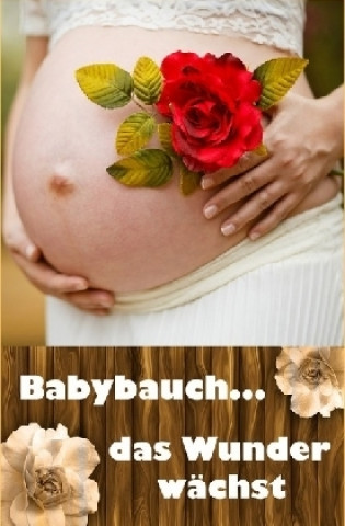 Книга Babybauch...das Wunder wächst Laura Paulsen