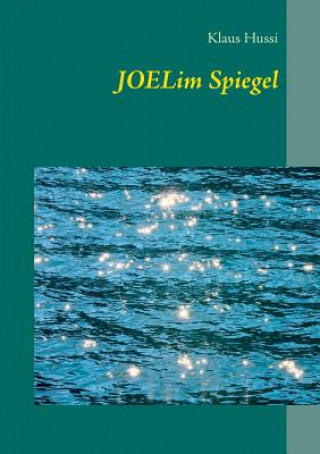 Livre Joel im Spiegel Klaus Hussi