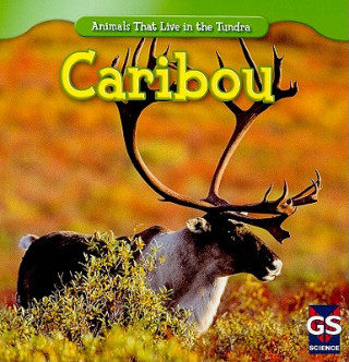 Книга Caribou Roman Patrick