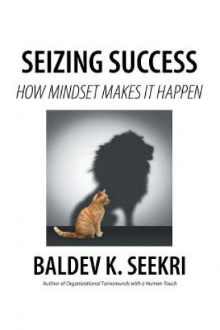 Kniha Seizing Success Baldev K. Seekri