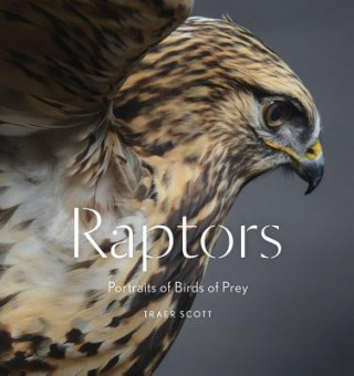Kniha Raptors Traer Scott