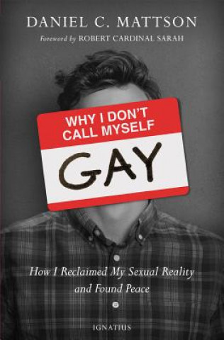 Könyv Why I Don't Call Myself Gay: How I Reclaimed My Sexual Reality and Found Peace Daniel Mattson