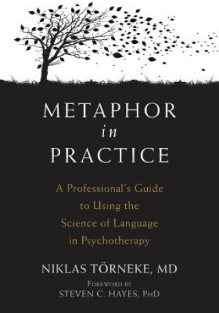 Kniha Metaphor in Practice Niklas Torneke