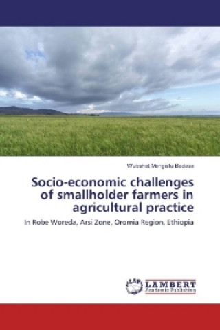 Kniha Socio-economic challenges of smallholder farmers in agricultural practice Wubshet Mengistu Bedasa