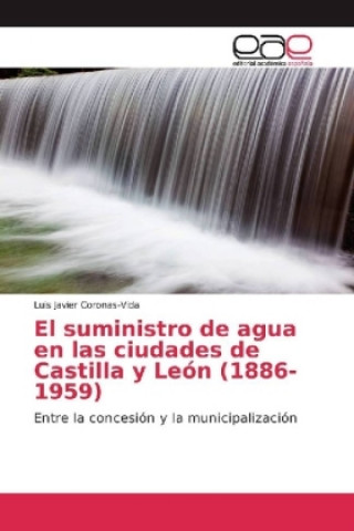 Book El suministro de agua en las ciudades de Castilla y León (1886-1959) Luis Javier Coronas-Vida