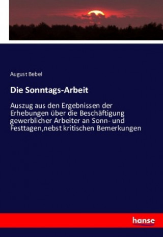 Könyv Die Sonntags-Arbeit August Bebel
